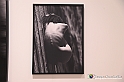 VBS_0847 - Mostra Liquida Photofestival